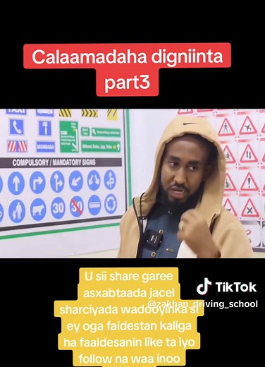 Understanding Road Signs: A Visual Guide for Everyone