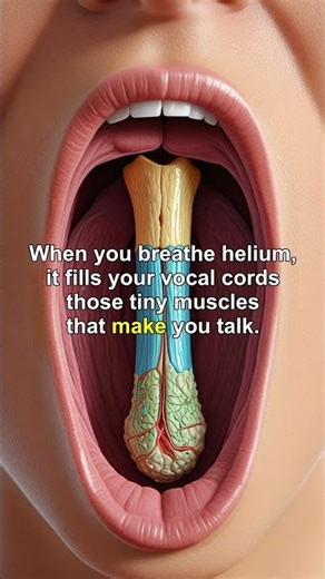 The Shocking Truth About Helium! Does It REALLY Change Your Voice?