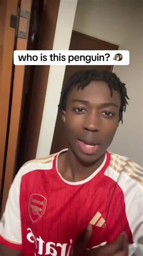 penguin at the moruntain #fyp #penguin #meme #viral | penguin