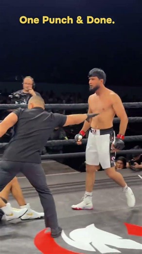 One Punch & Done. #systema #boxing #tinju #fighter #knockout