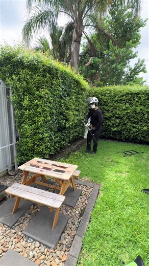 Meet the Hedge Trimmer Final Boss