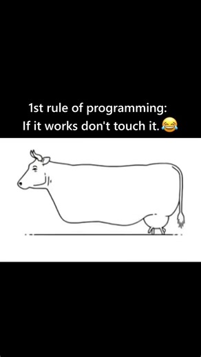 1st rule of programming : 😂#meme#funny #shorts