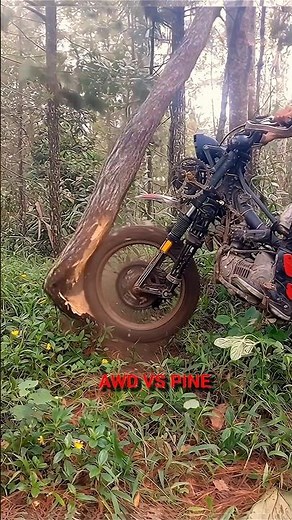 AWD 2x2 Front Wheel vs Pine Tree 😳🔥 (Insane Torque Test)