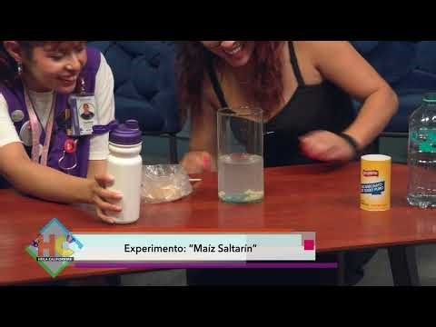 Experimento Maíz Saltarín
