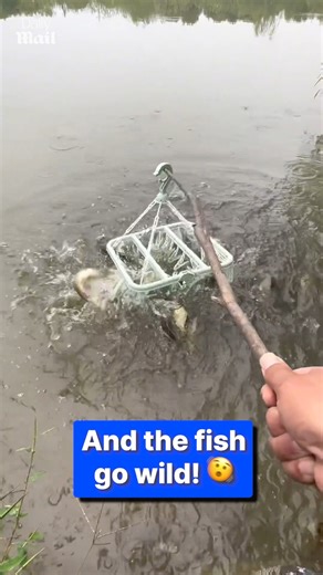 Fishing made easy 🎣 | Daily Mail Entertainment