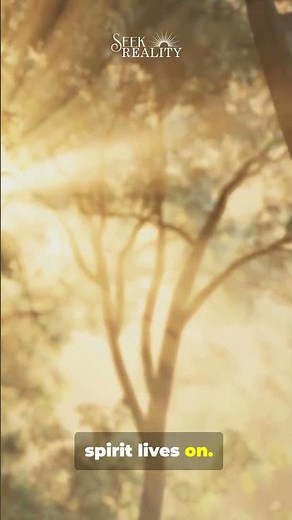 Yeshua on Life After Death