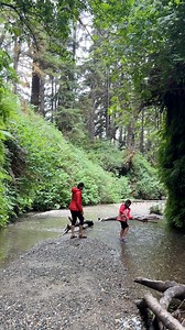 1.5K views | Famous filming location for Jurassic Park II. #redwoods | It’s JRventures | Facebook