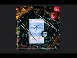 Biofield Tuning Fork Starter Kit