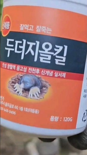 두더지약 이게 효과 1위 입니다 100프로 퇴치하는 기발한방법 씨까지 말립니다! #두더지퇴치 #올킬 #들쥐 #두더지퇴치약 #두더지약 #mole #쥐약
