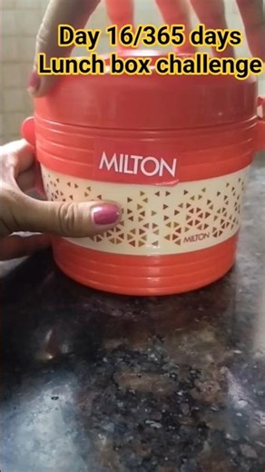 Day 16/365 days lunch box challenge #shortvideo #lunchboxideas #lunchbox #lunch #lunchtime