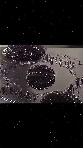 Ferromagnetic Liquid Magic: Watch It Morph in a Magnetic Field!