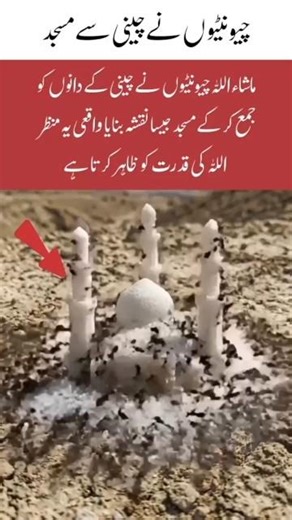 Ants Making Mosque Shape 😲 Amazing Creation #shorts #trending #mosque #islam #duet #foryou
