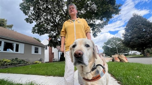 The importance of properly trained service dogs