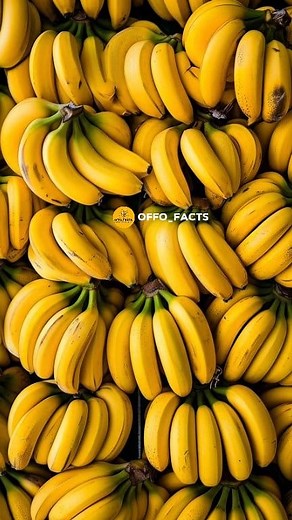 360K views · 4.4K reactions | top 10 surprising fact about food 陋諾#shortsfeed #shortvideo #shorts | Offo Facts | Facebook