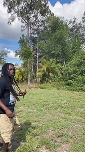 29K views · 1.7K reactions | #onlyinflorida #pythonhunting #python #florida #omgitswicks | Omgitswicks | Facebook