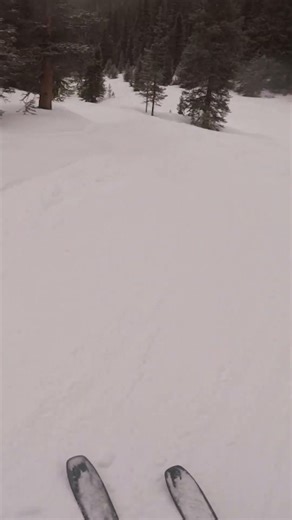 THIS WAS FUN flying through the trees, Colorado bowl skiing #skiing
