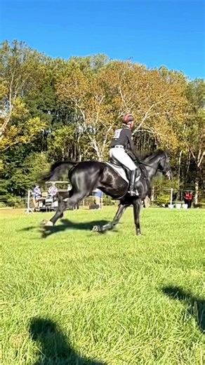 Step into a day in the life with USPA at one of our favorite equestrian events of the year! 🐎 From reconnecting with USPA grads to cheering on the competition and meeting new faces, this event had it all, and we loved every minute of it. If you're looking for an online school that truly gets the equestrian lifestyle, we're here for you. Let’s ride together. 📩 Contact us to get started! | US Performance Academy