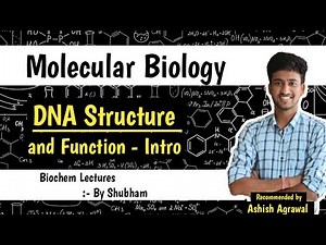 Introduction & DNA Structure and Function || Molecular Biology || Biochemistry lectures