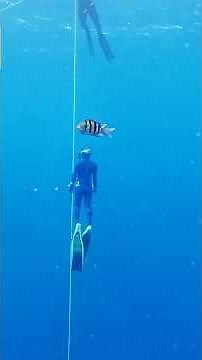 The World’s Deadliest 💀 Dive Site🤿: "Blue Hole" Near Dahab, Egypt #dahab #diving #deadly #underwat