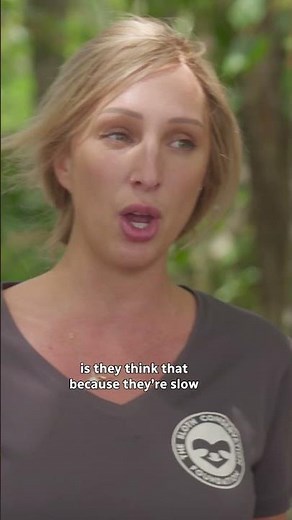 Sloths are super strong!