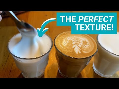 The Barista Secret: How to Steam Milk Perfectly for Flat Whites, Lattes & Cappuccinos