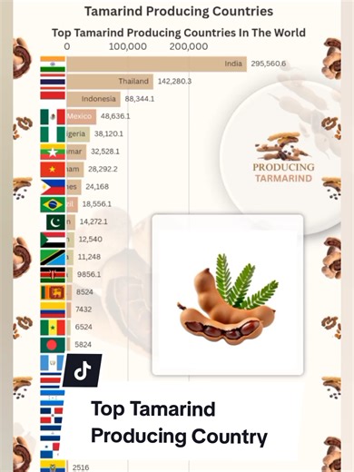 Top Tamarind Producing Countries in the World
