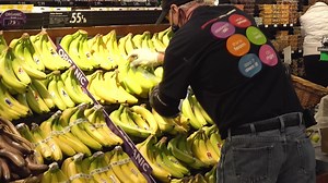 Now Hiring Foodies! Giant Eagle and Market District locations are hiring for a variety of positions in your area. We offer our Team Members excellent benefits, such as, competitive and weekly pay, advancement opportunities, flexible scheduling and many more! | Giant Eagle