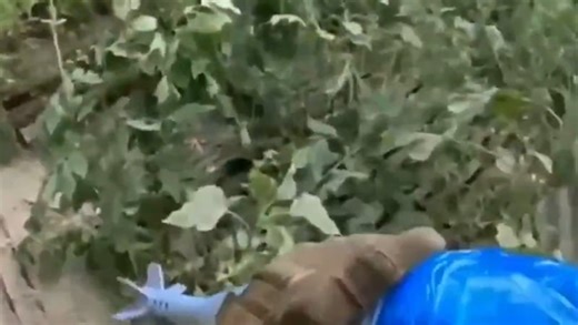 GoPro View - Ukrainian Tosses 120mm Mortar Into Basement