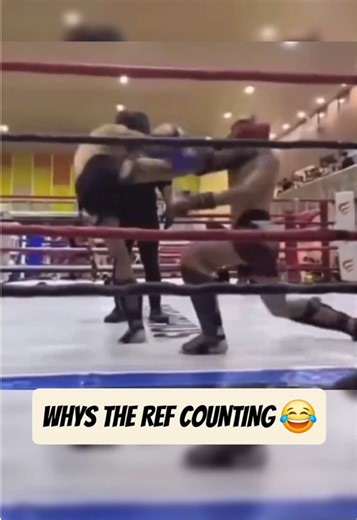Why did the ref started counting? 😅 #ref #kickboxing #ko #combatsports #fyp