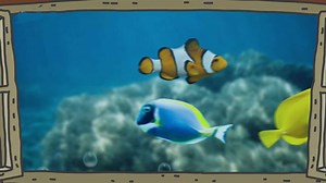 Brďo a ryby - ČT edu - Česká televize