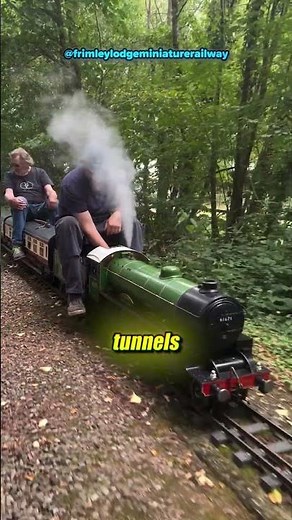 Adults Ride Tiny Trains Here… and It’s Amazing! 😂