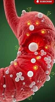 What happens in your body after too much caffeine | 3D Anatomy
