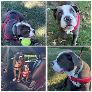 88K views · 1.3K reactions |  UPDATE - we received so many...