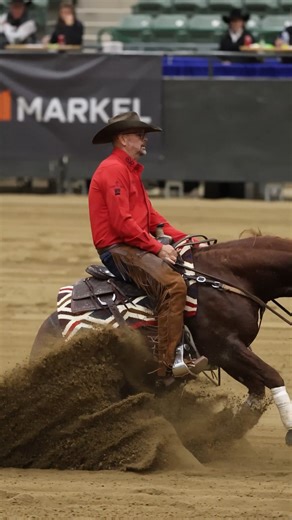 Thundr Strukk and Shadd Parkinson in the Futurity Open Rein Work at the Reno Snaffle Bit Futurity. #TeamMC #v#valleyequine | Metallic Cat