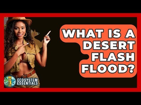 What Is A Desert Flash Flood? - Ecosystem Essentials