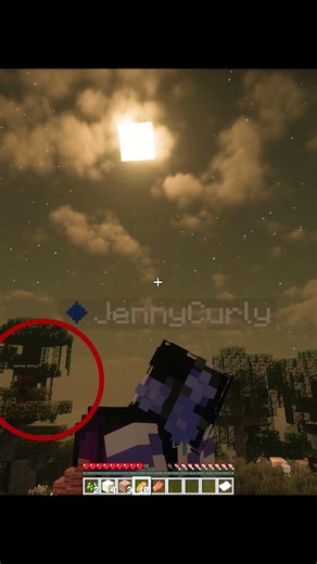 I DIDN'T SEE IT WHILE I WAS RECORDING! 💀 #minecraft #minecraftshorts #minecraftmemes