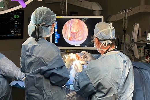 Augmented reality meets neuroendoscopy