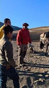 Starting to enjoy the Chile - Argentina Encounter, Pehuenche Pass, Route Ch115 2026 #culture
