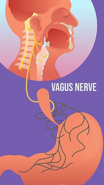 How doctors diagnose and treat a non-functioning esophagus