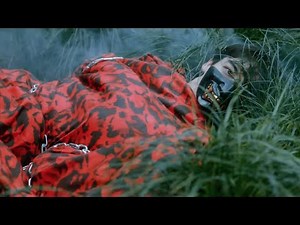 Joji - Window (2018) | IMVDb