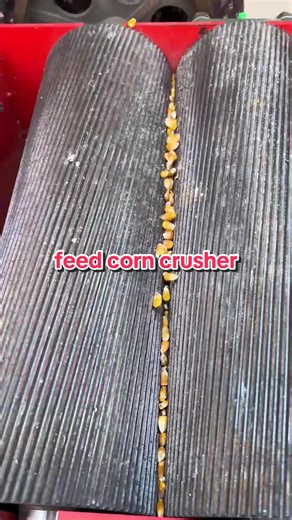 crushes corn so fast shorts,This corn crusher crushes whole corn into clean, low-dust granules—super fast, perfect for livestock feed! #CornCrusher #livestock #livestockfeed #livestockmachinery #corngrinder