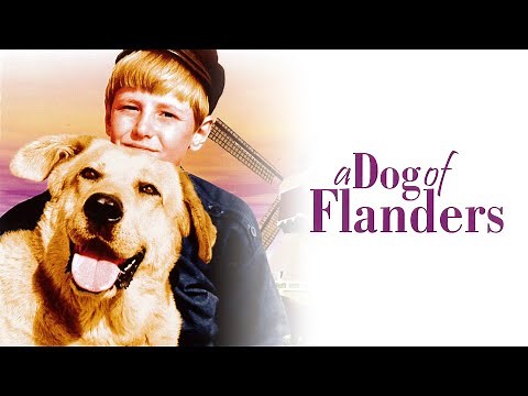 A Dog of Flanders [1960] Full Movie | David Ladd; Donald Crisp; Theodore Bikel