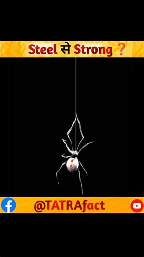 इतना पतला… फिर भी स्टील से ताकतवर! 🕷️ | Spider Web Science Fact #ScienceFacts #NaturePower‎