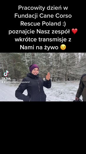 Dzień z życia Fundacji Cane Corso Rescue Poland ❤️ | Fundacja Cane Corso Rescue Poland
