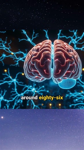 How the Brain Talks to Computers #braincomputerinterface #youtubeshorts