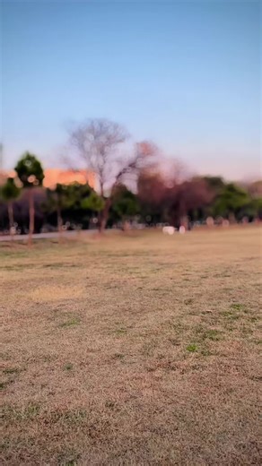 Funny Video: Missing You Comedy Skit