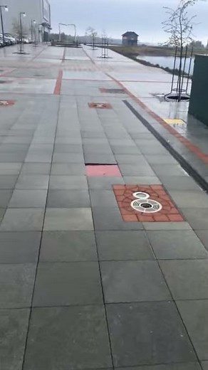 The Swedish-Finnish border at Haparanda-Tornio (or vice ver