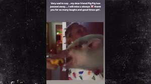 Miley Cyrus' Pet Pig Bubba Sue Dies