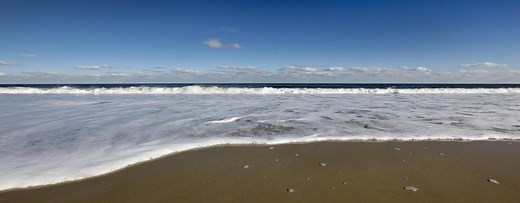 Beach Horseback Riding in Amelia Island