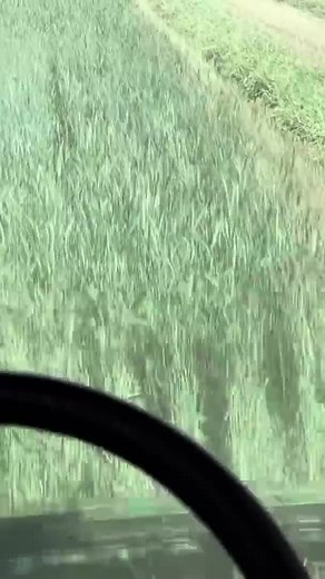 Check out Everlast Welders here- https://www.everlastgenerators.com/product/tig-stick/powertig-210ext Visit Arrowquip here- https://arrowquip.com/cattle-equipment/cattle-squeeze-chutes/squeeze-chute/#modelDetails Visit Redmond Agriculture here- https://www.redmondagriculture.com/ And for any online purchase from Redmond use the discount code Farmertylerranch to part 1